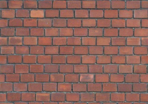 ��ש����