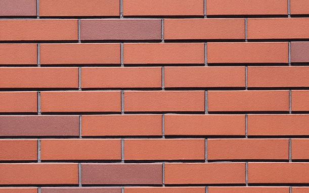 ��ש����