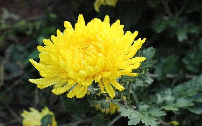 �ջ���̬����