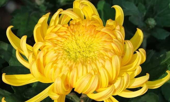 �ջ���Ҫ��;