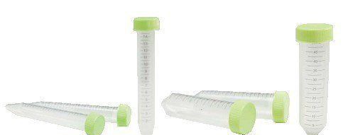 ���Ĺ����ļ���