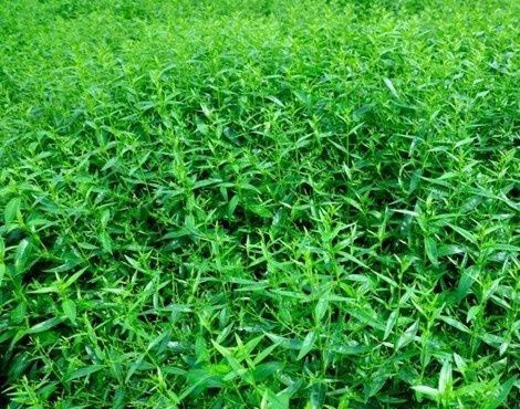 ����������̬����