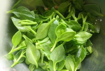 �����������༼��