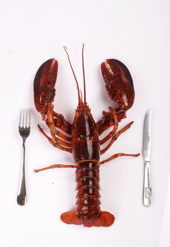 ����Ϻ����ֲ�