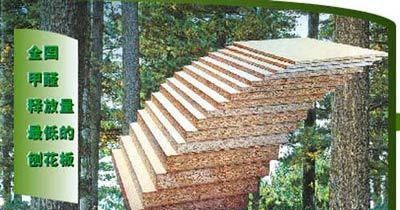 ����ɭ��¶ˮ�Ӱ�ĵ�����