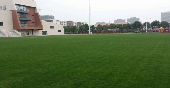 �˹���ƺע������