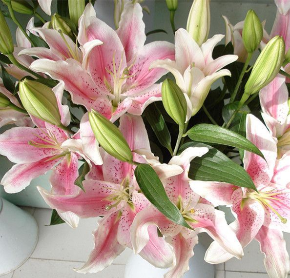 �����ʲô�ʻ�