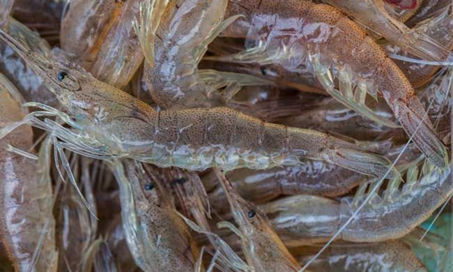 ��Ϻ������ϰ��