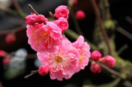 ��÷����̬����