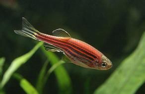 ��������ô��