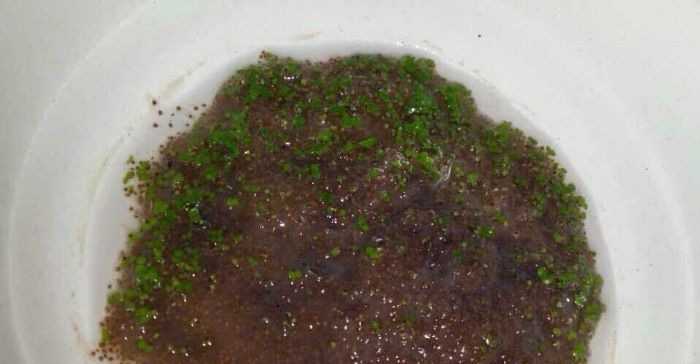 ���˱��ݺ��������ˮ��Ĥ