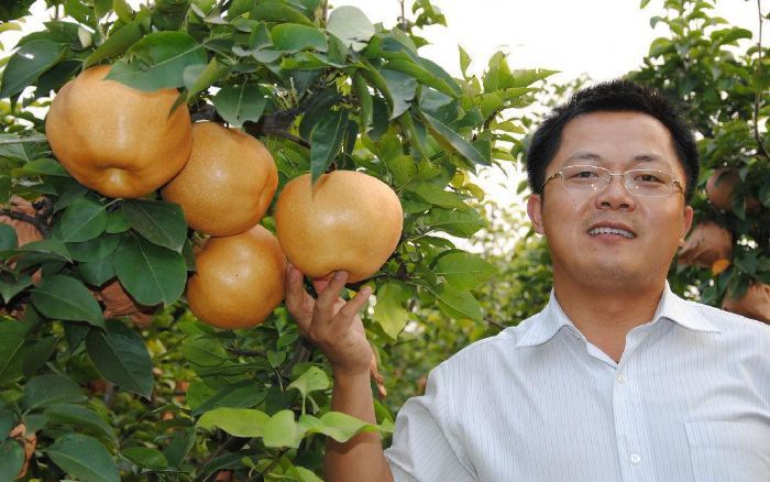 �������Ӫ����ֵ