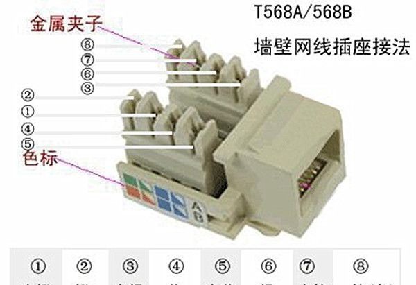 ���߲�������