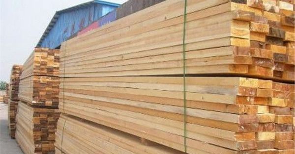 ��ľ��ĵ��ŵ�