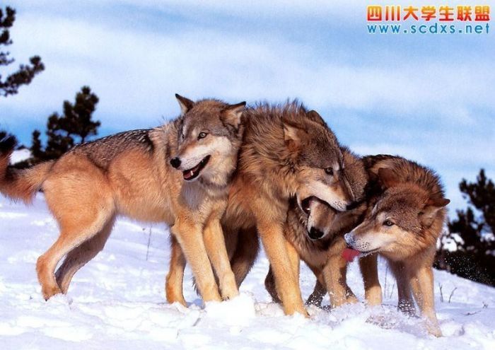 �����ѵ��