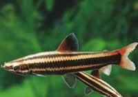 Ǧ�������κ�ϰ��