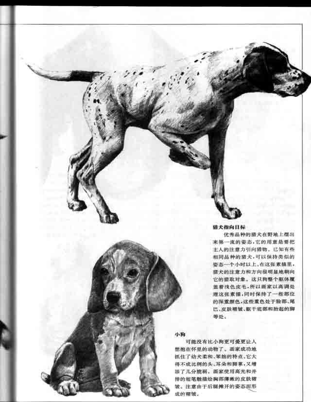 ������Ҫ