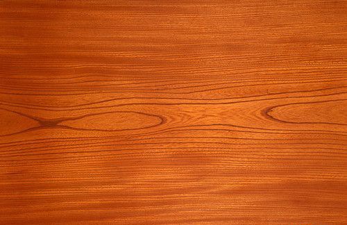 �ľ�Ҿߵ��ŵ�