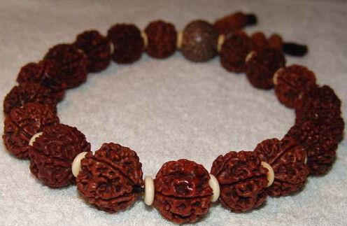 ��Ҫ������