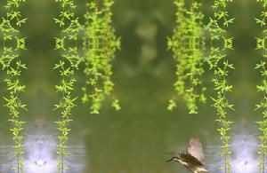 ע������