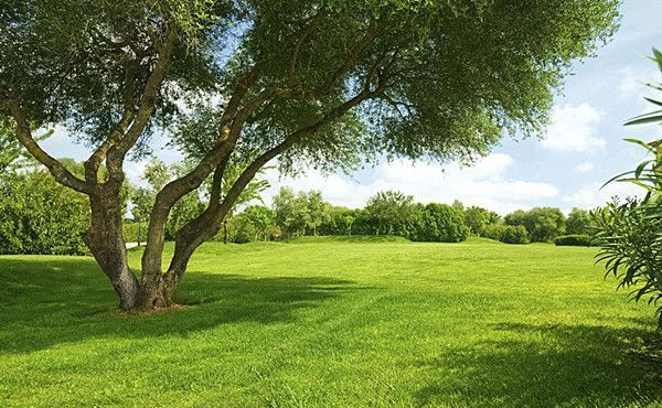 �ļ���ƺ�����