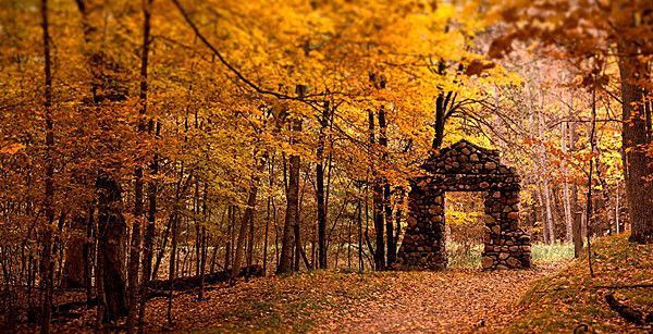 �＾��ƺ�����