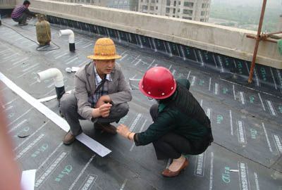 ���¶�©����