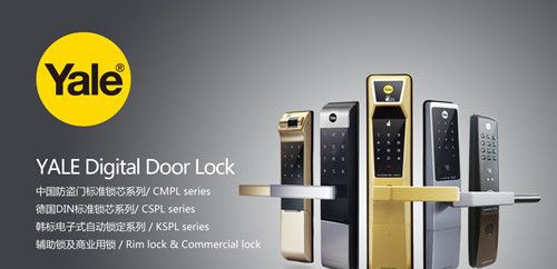 Ү³������