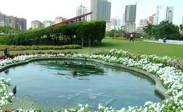 ���ӿ���ˮ