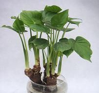 ˮ���ˮ����