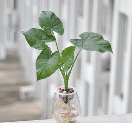 ��ˮ����