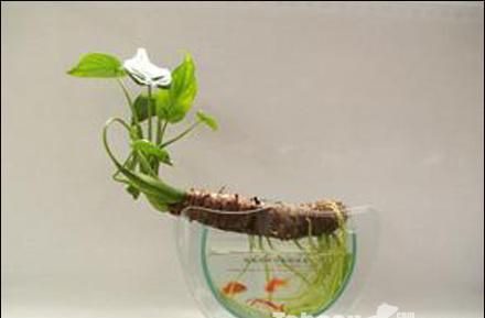 ˮ���ˮ����