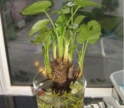 ˮ���ˮ����