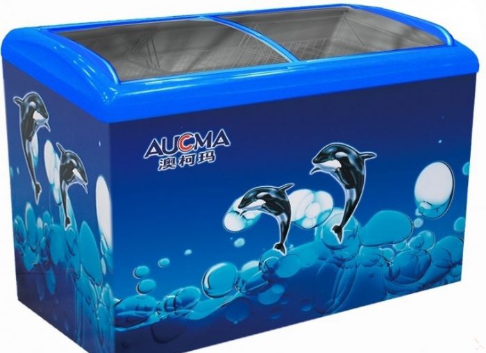 �Ŀ������