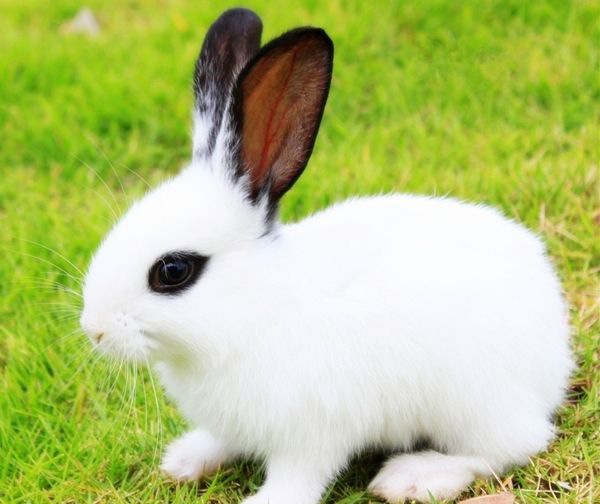 ��è����ô��