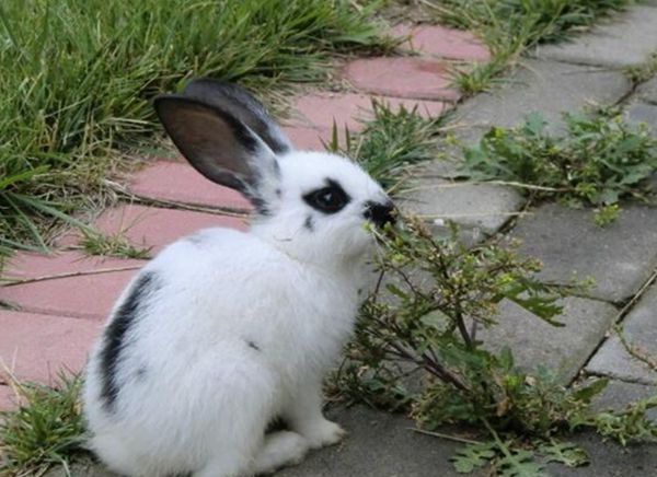 ��è����ô��