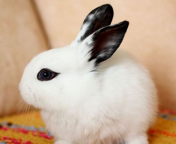 ��è����ô��