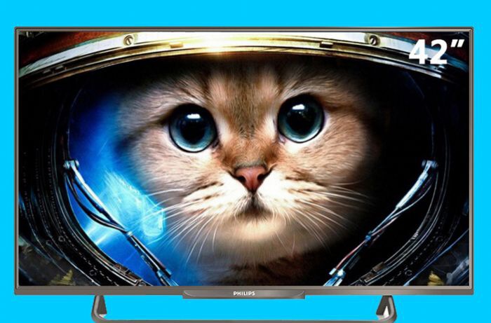 �����ֵ���