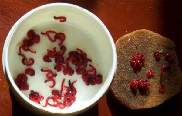 �����ô��