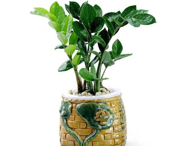 ��Ǯ����ô��