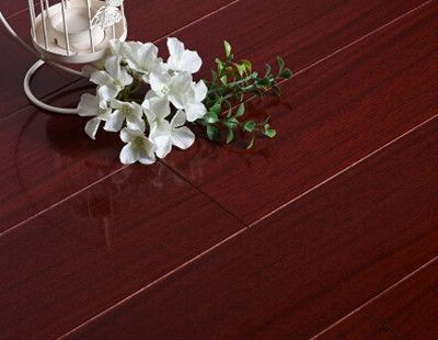 ����ľ�ذ�