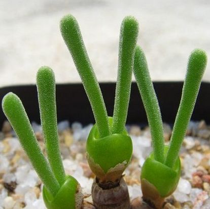 �칫��װ��Ʒ�ڷ�