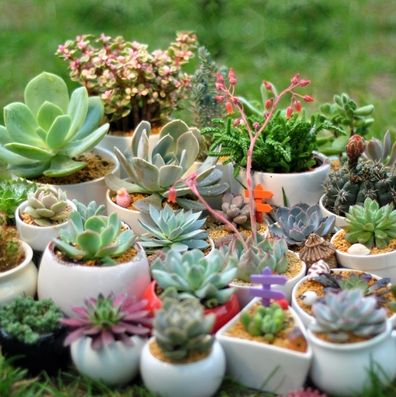 �칫��װ��Ʒ�ڷ�