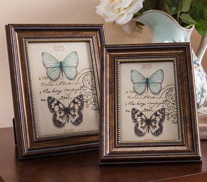 ���ѡ������