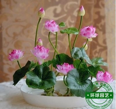 ����˯��