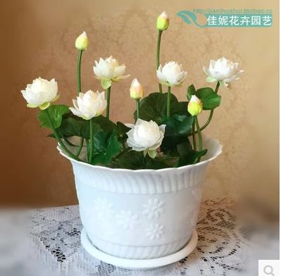 ����˯��