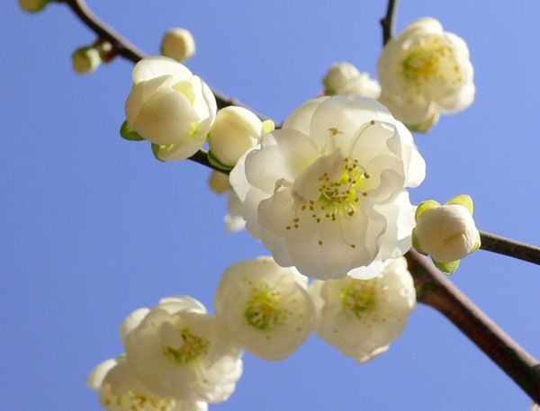 ��÷����ô��