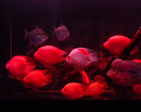 ��������ô��