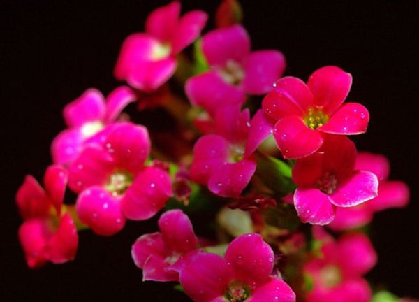 ���ٻ���ô��