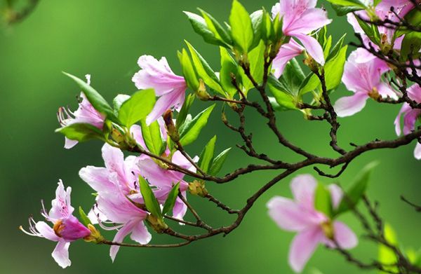 �ž黨��ô��